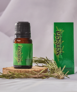 Rosemary Oil - 10ml