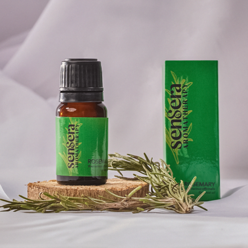 Rosemary Oil - 10ml